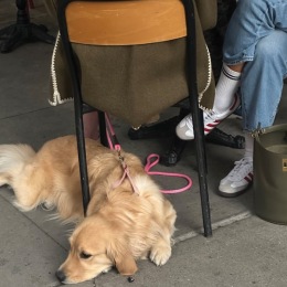 Instagram post from @livethemason on July 01, 2026 00:00:00am