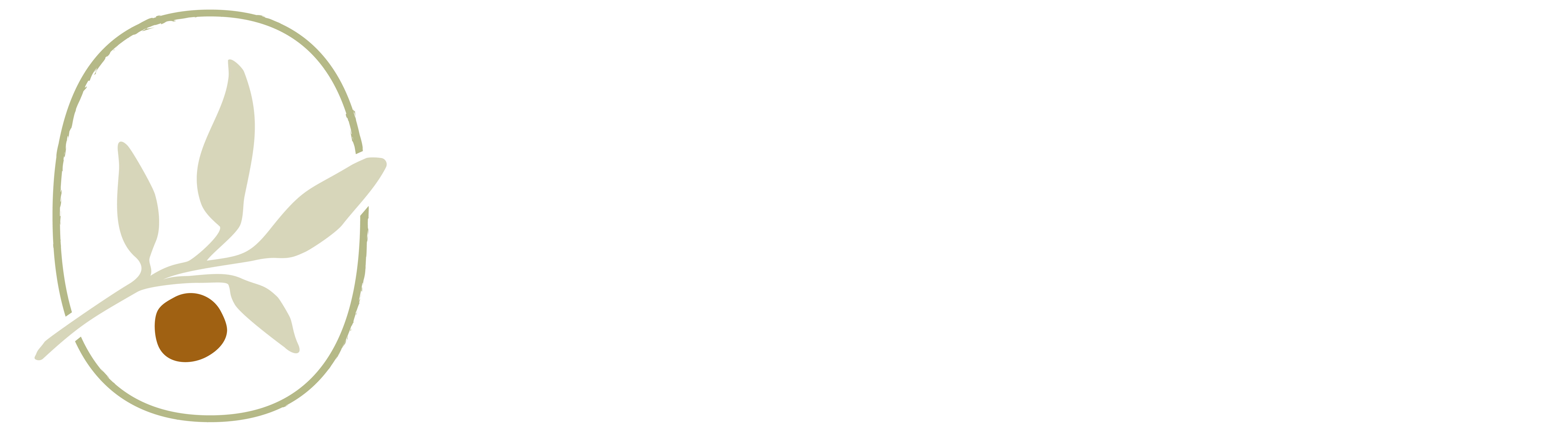 The Mason Logo